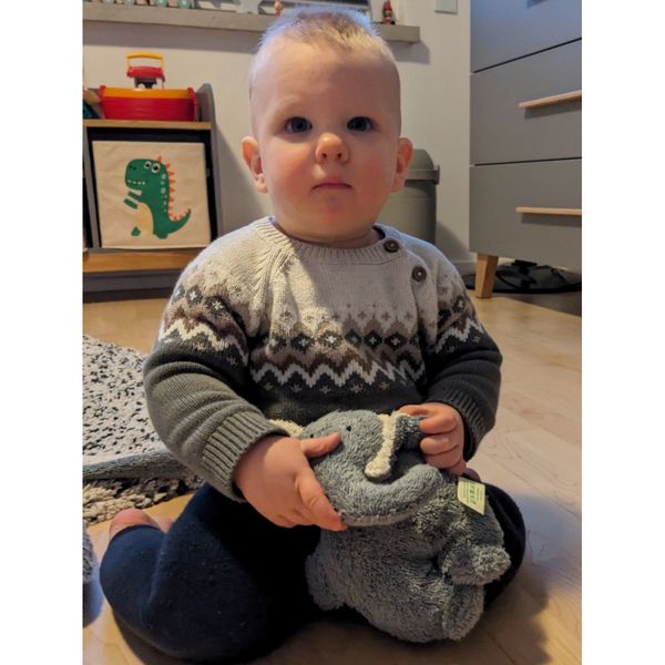 Efie liten grå elefant