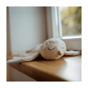 Hovedbilde Senger Naturwelt kosedyr ugle med varmepute